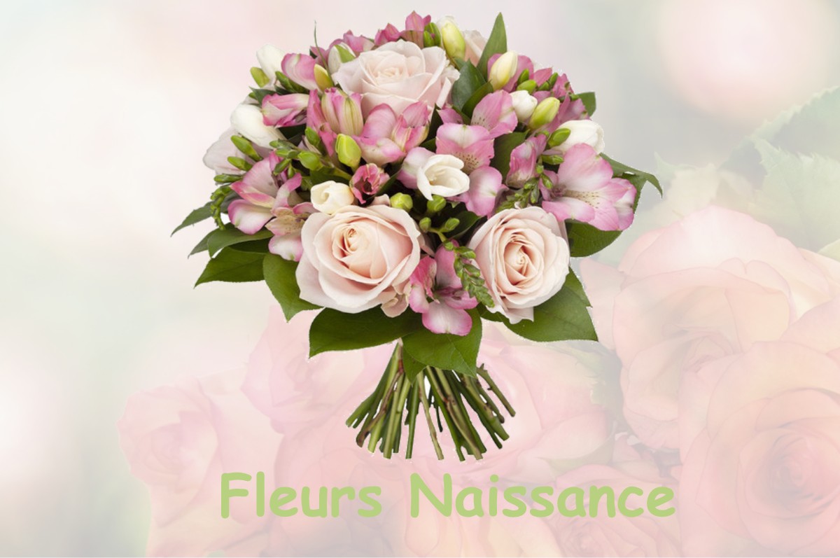 fleurs naissance LA-NEUVILLE-VAULT